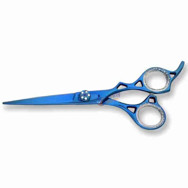 Professional blue scissors