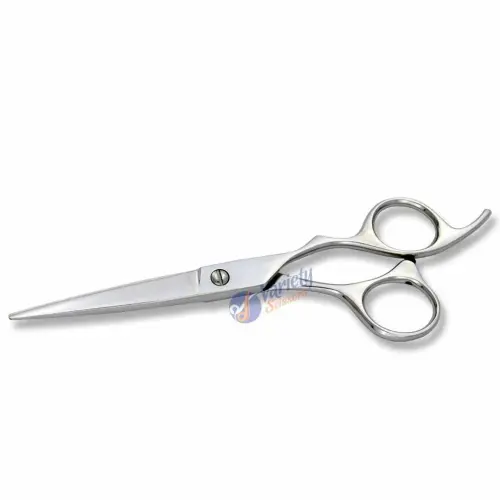 Professional Hair Cutting Scissors