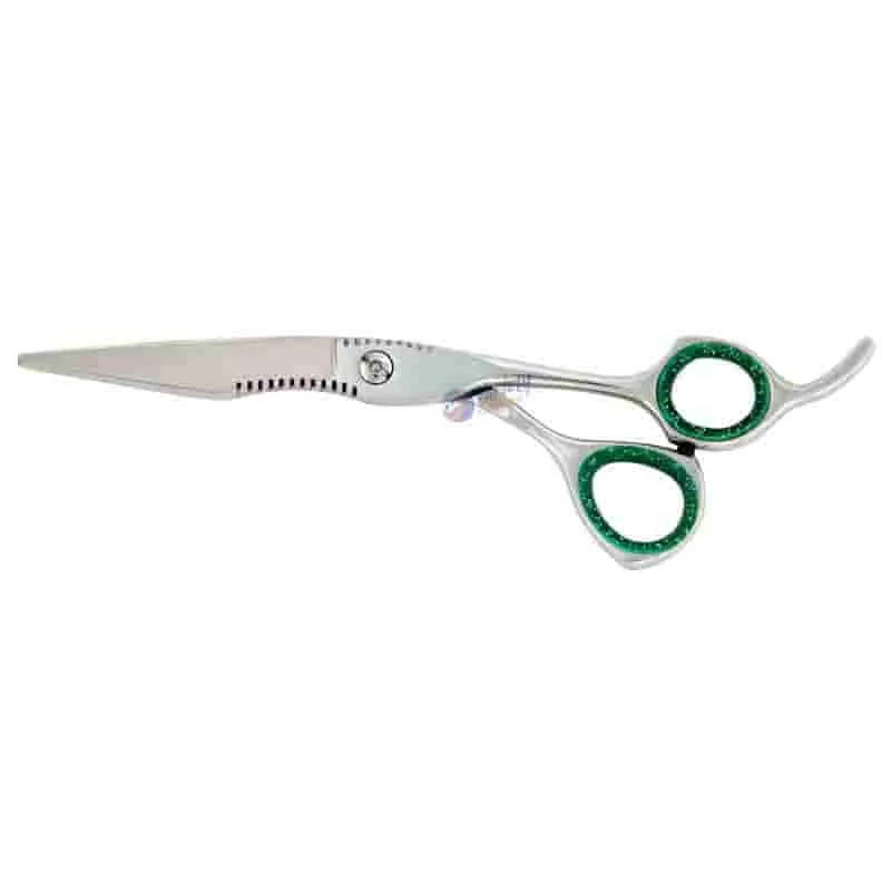 Professional Hairdressing Scissors