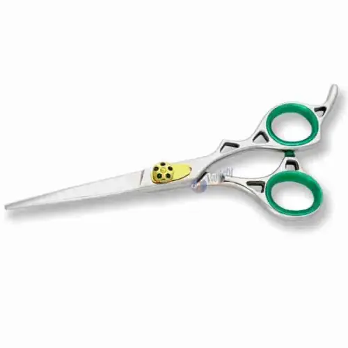 Professional Hairdressing Scissors