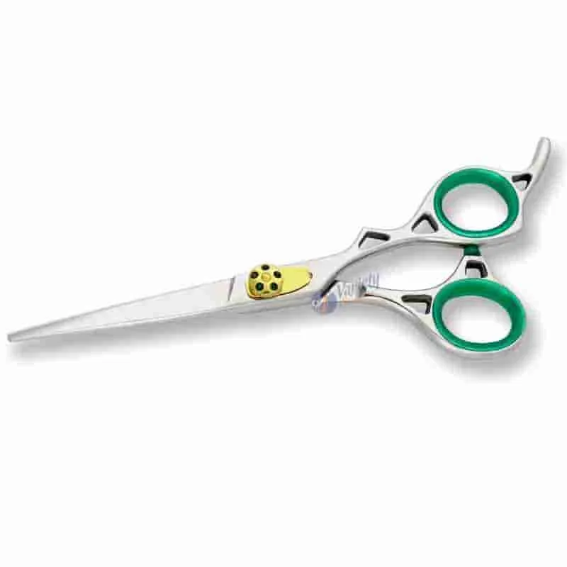 Professional Hairdressing Scissors