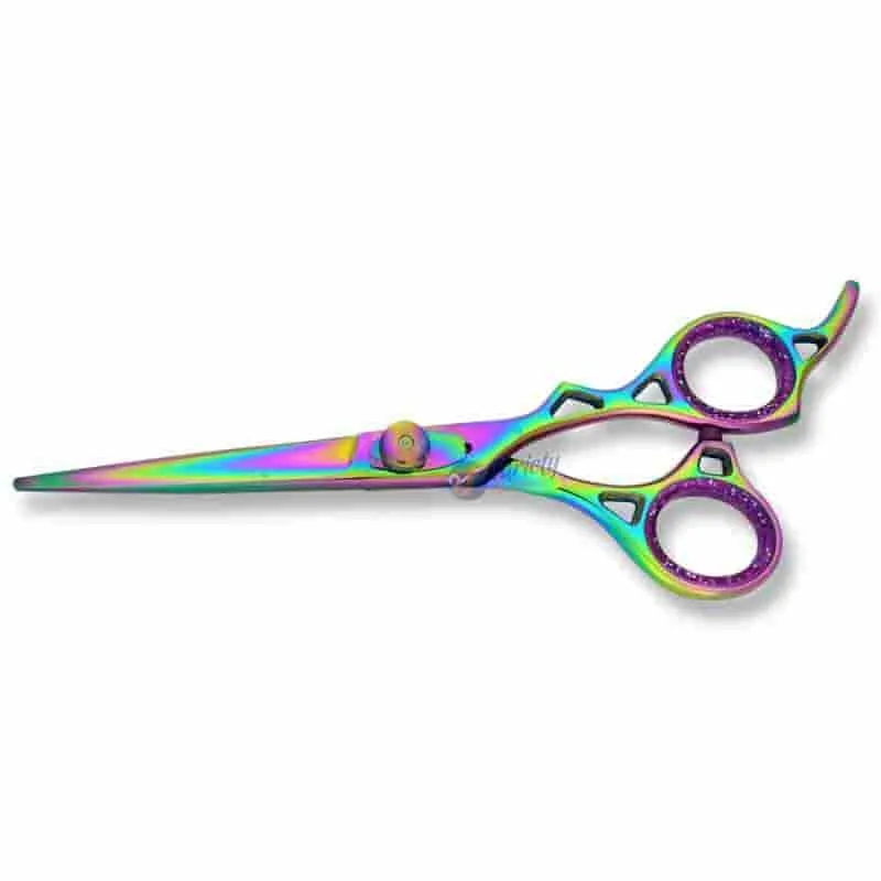 Professional rainbow scissors