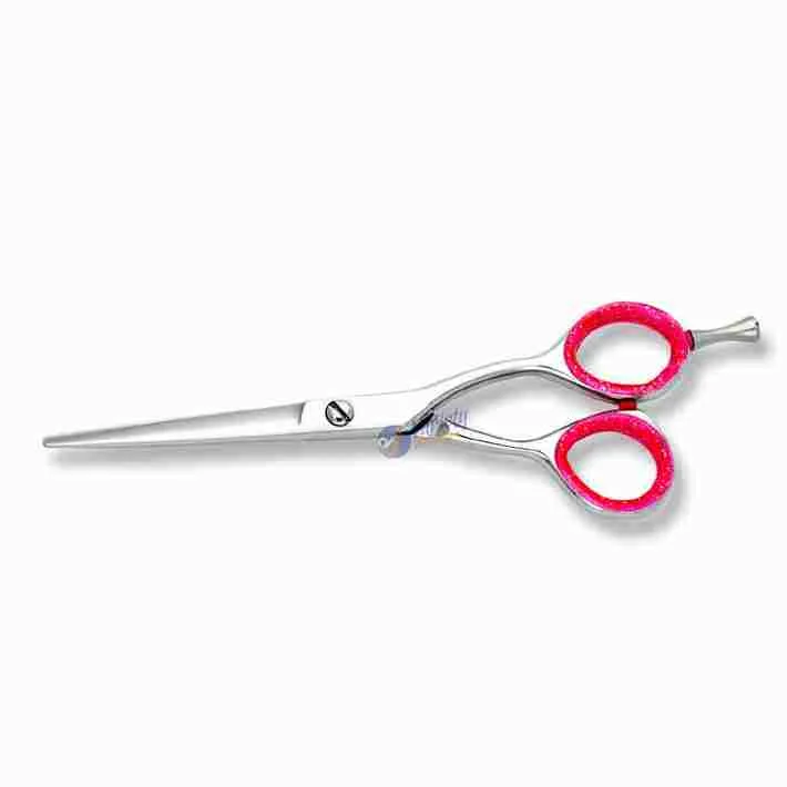 Professional Salon Hair Shears ? Classic Precision