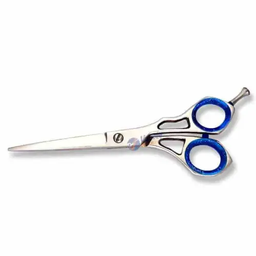 Professional Salon Hair Shears